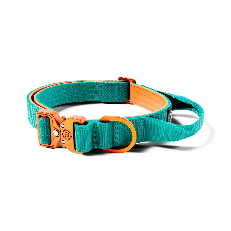 2.5cm Lighter Combat® Collar | Handle & Rated Clip - Turquoise x Orange