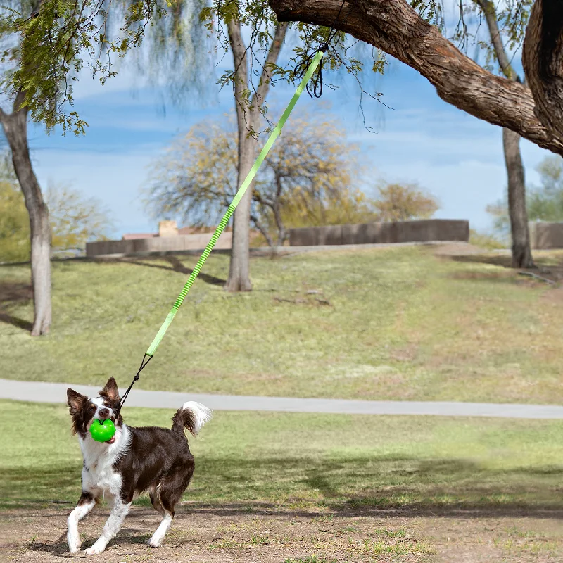 Jolly Pets Tree Tugger Bungee (Large, Green)