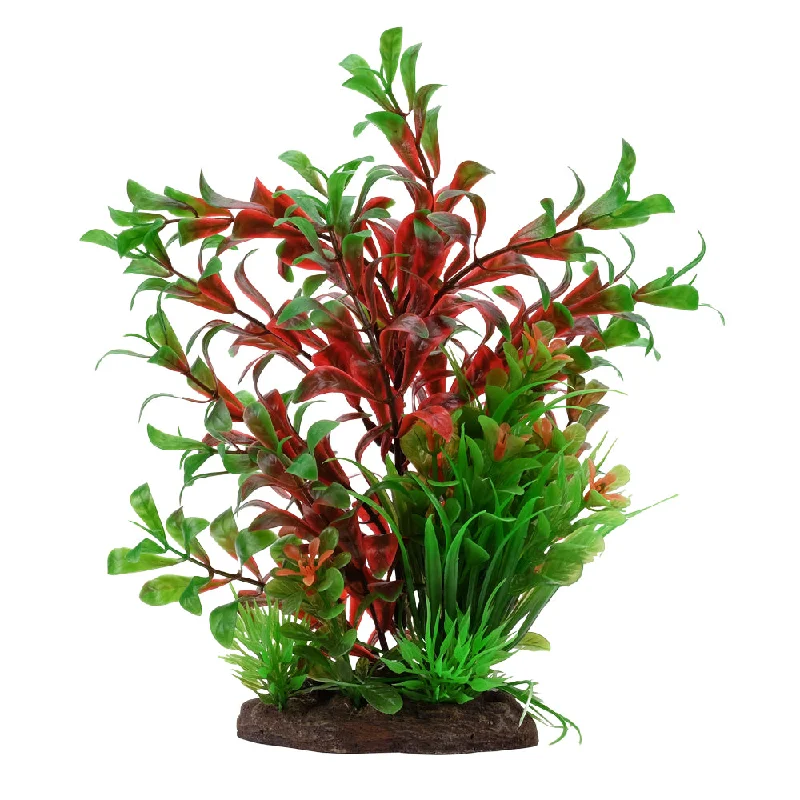 Aqualife Red Ludwigia/Dwarf Sagittarius Plant Mix 20cm