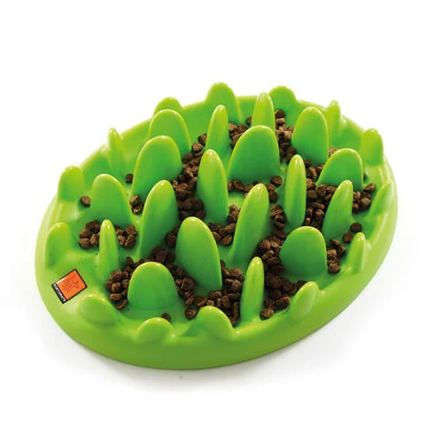 Green Slow Dog Feeder