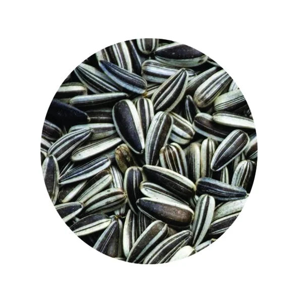 Sunflower Seeds