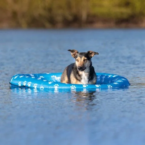 Trixie Inflatable Dinghy